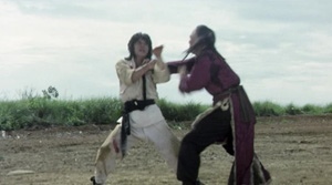 Snake and Crane Arts of Shaolin - Film Screenshot 13