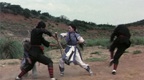 Snake and Crane Arts of Shaolin - Movie Screenshot 5
