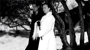 The Assassin - Film Screenshot 1