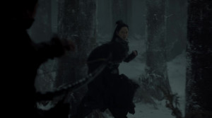 The Hidden Fox - Film Screenshot 6