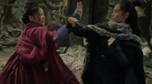 The Hidden Fox - Film Screenshot 8